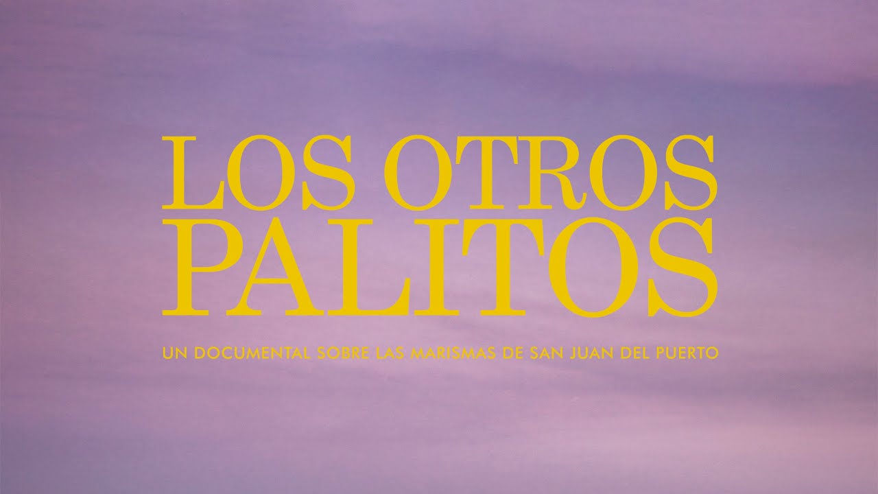 LOS OTROS PALITOS - Marismas de San Juan del Puerto (Documental)