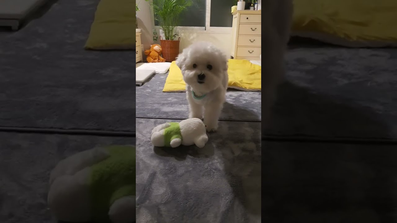 고기우리두부 라이브 스트리밍 중