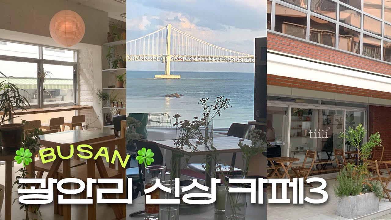 부산 광안리 신상카페3 | 부산인이 추천 숨은 느좋 신상 카페🌊