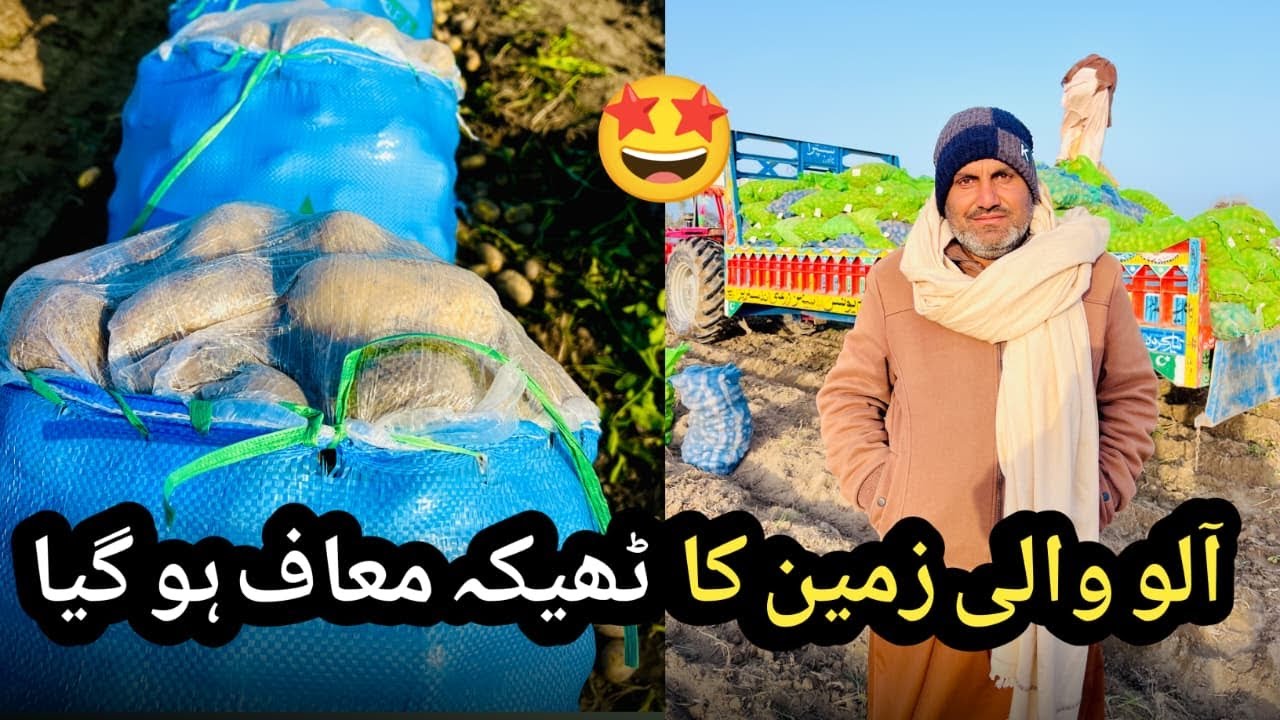 Zemindar Kisan Pr Mehrban Ho Gia| Aloo Wali Pori Qisat Maaf Kr Di😍Preshan Kisan ye Video Lazmi Dekho