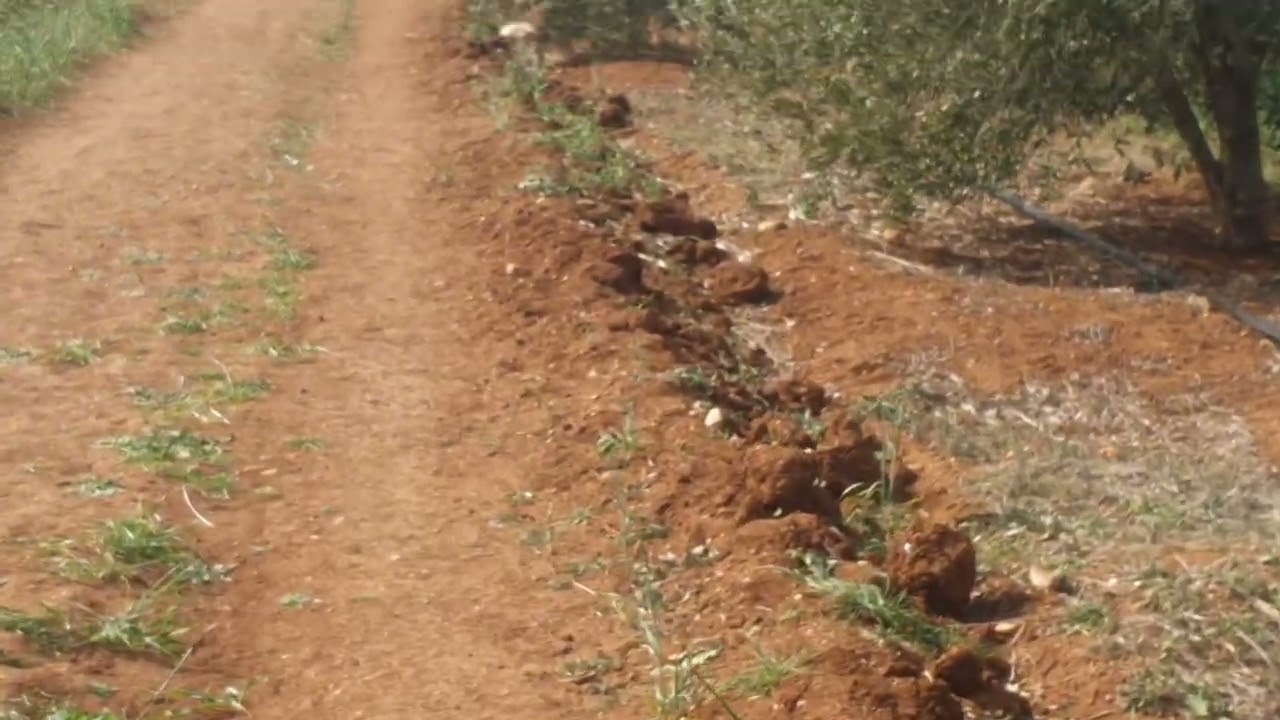 إقليم تازة ، جماعة مطماطة : خطر الموت يحدق بساكنة حي الفتح بمطماطة .