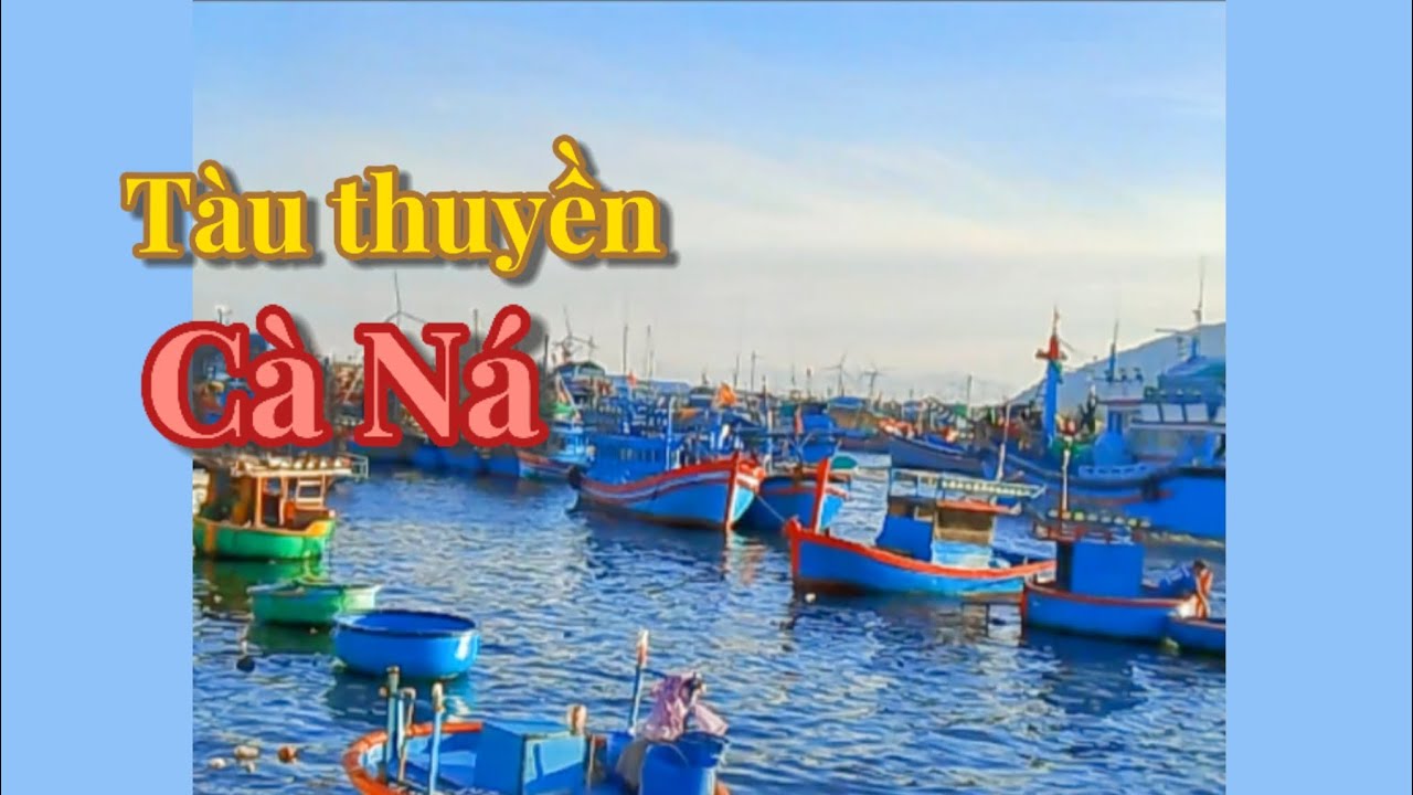 Mời mọi người xem cửa biển Cà Ná buổi sáng thật là yên lành | Đại Dương Thân Yêu Vlog