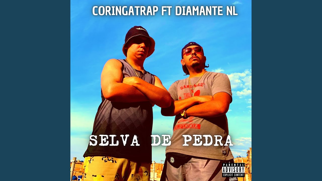 Selva de Pedra