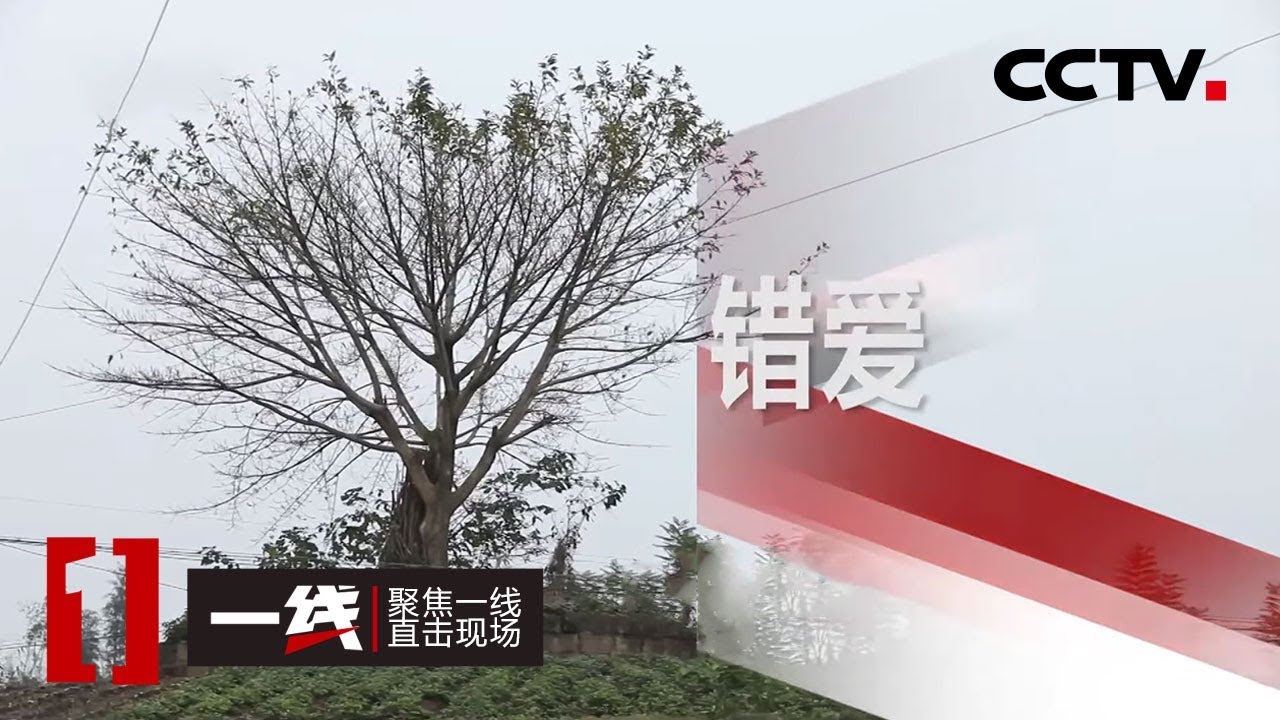 《一线》 错爱 20200410 | CCTV社会与法