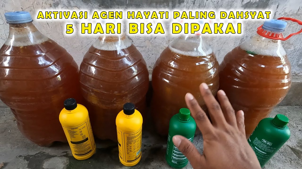CARA AKTIVASI DAN MEMPERBANAYAK  AGEN HAYATI M21 & EM4