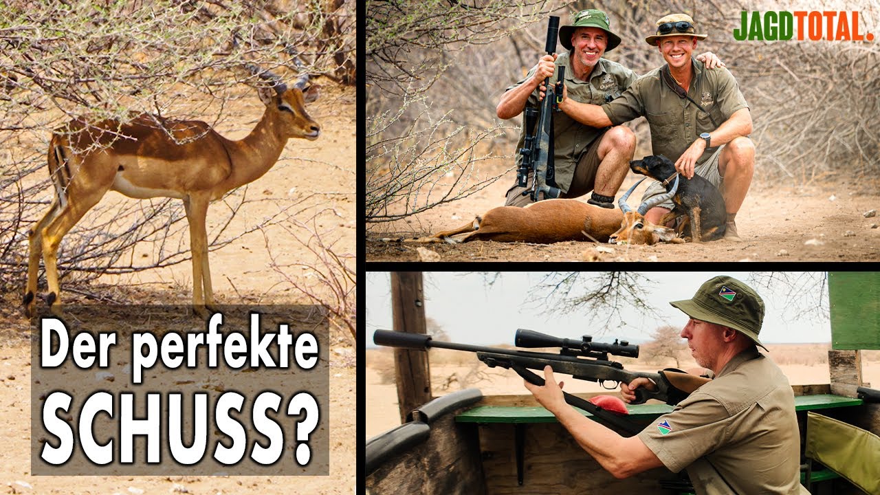 Ansitzjagd | Strategien f&uuml;r J&auml;ger
