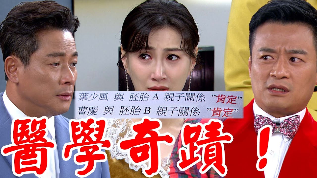 一家團圓│EP294 何麗雙胞胎竟不同爸爸 少風狠心將她逐出家門 Family Reunion│ Vidol.tv