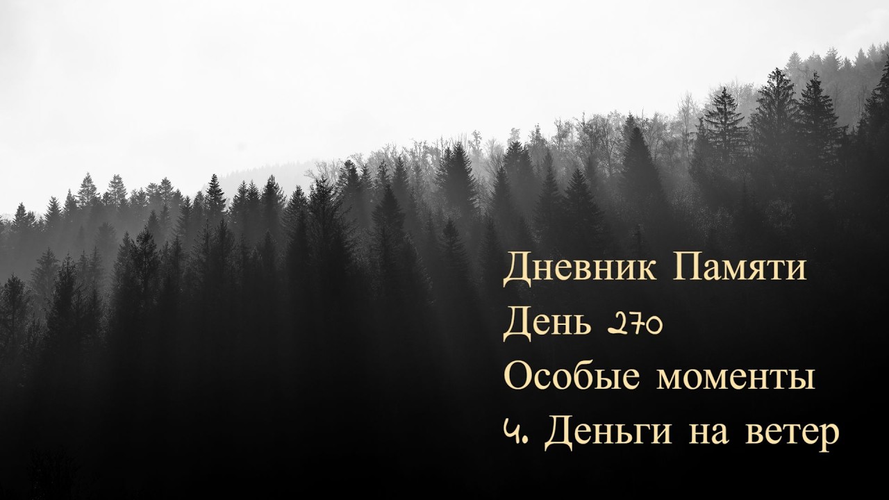 Дневник Памяти. День 270. Особые моменты. 4. Деньги на ветер