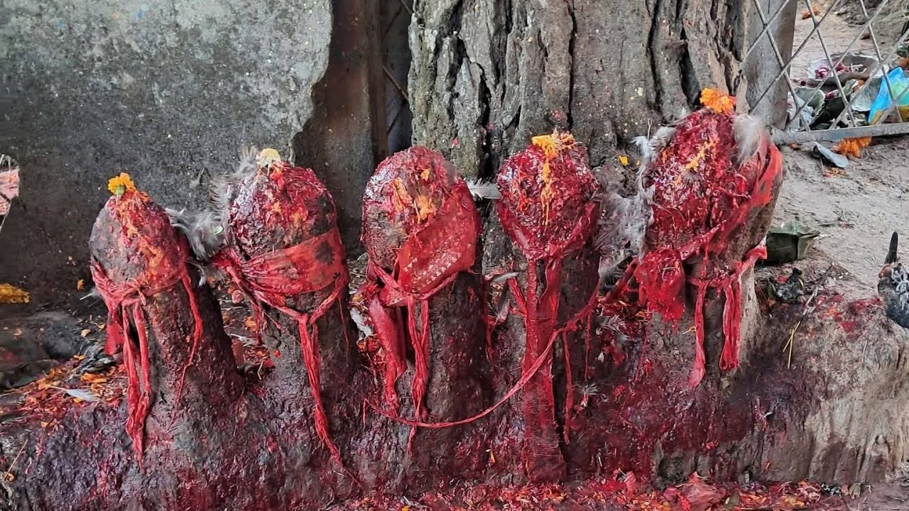  श्री पञ्चकन्या देवी मन्दिर उद्घाटन र निम पूजा समाराेह अाफ्ना मनाेकामना पूरा गरिदिनुहुने देवी मां