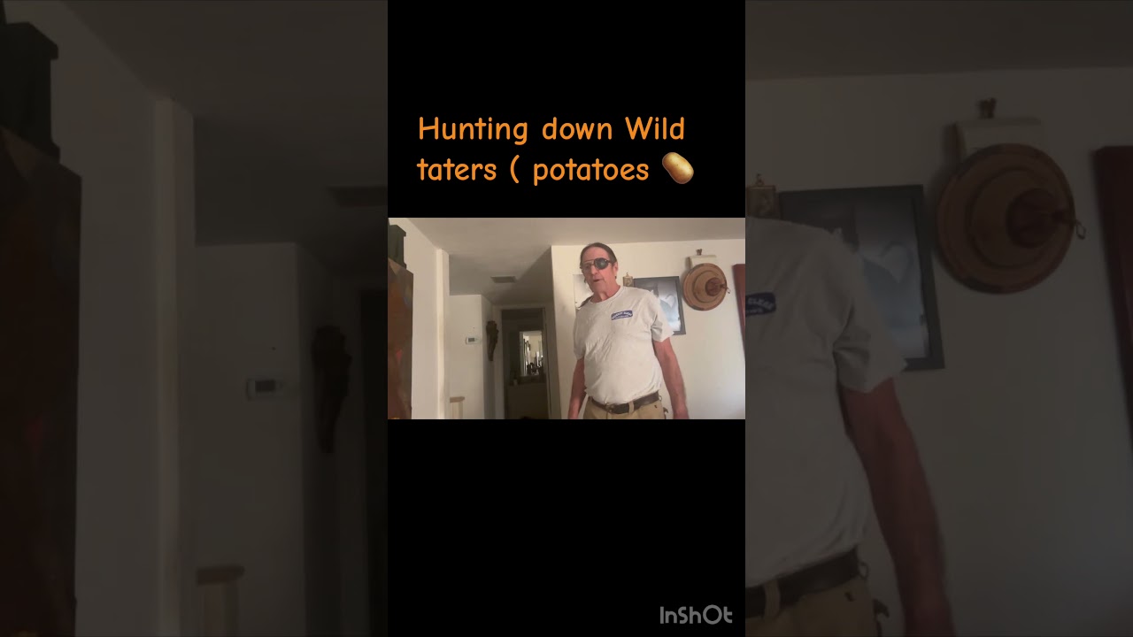 #huntingwithTony #WildTaters #wildpotato #knifethrowing #potatocomedy
