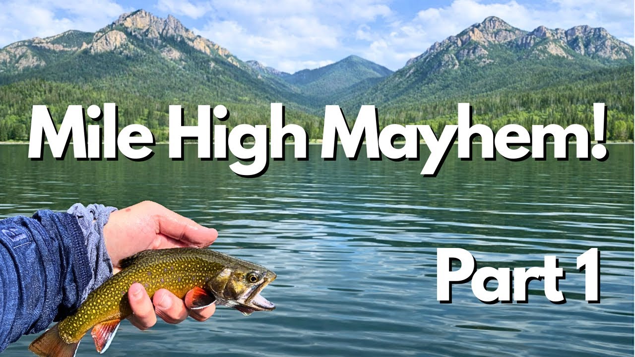 This Mountain Lake Is Chock Full Of Fish! (tenkara fly fishing) #tenkara #fishing #flyfishing