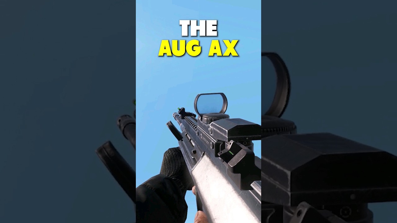 The NEW BEST Rifle?