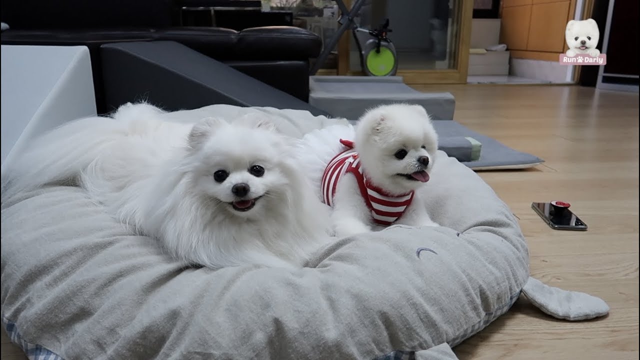 티티언니 집에 놀러가기