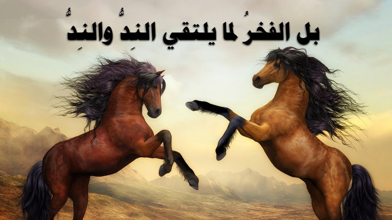 أيغمر لورا في منازلها السَّعدُ 