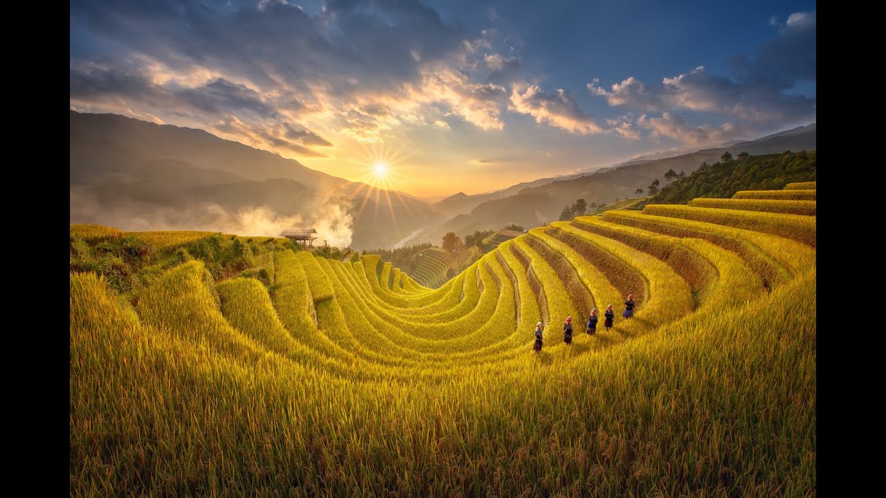 M&ugrave;a l&uacute;a ch&iacute;n M&ugrave; Cang Chải xinh đẹp! [DAONGOC TRAVEL]