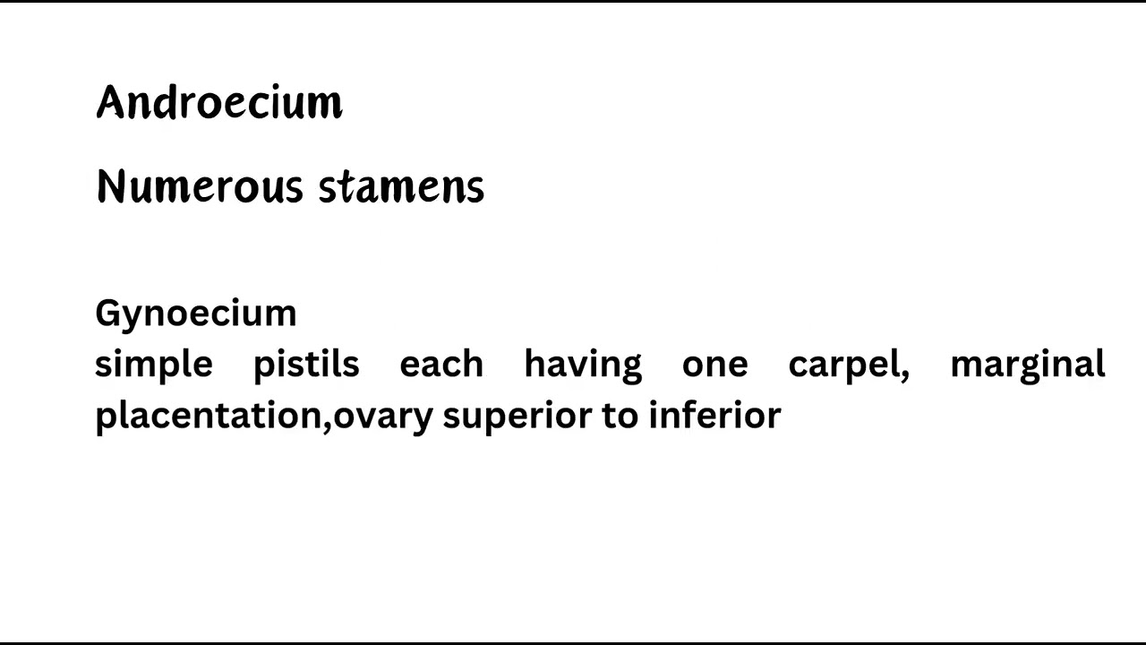 Nymphaeaceae Family notes #lotus #nymphaea