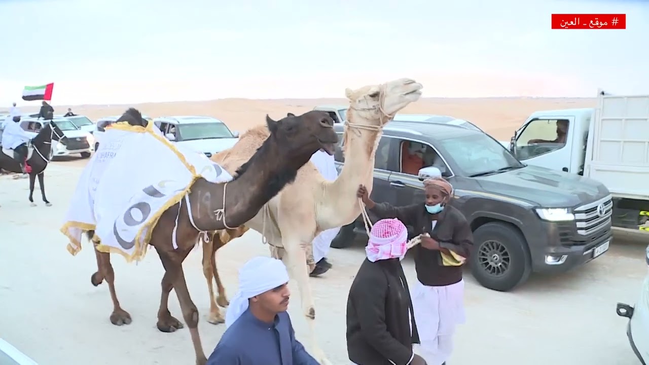 🏁 مسيرة منقية  بن مقرن  المملوكة لـ محمد صالح بن مقرن العامري، الحاصله على بيرق الأمارات - 2022