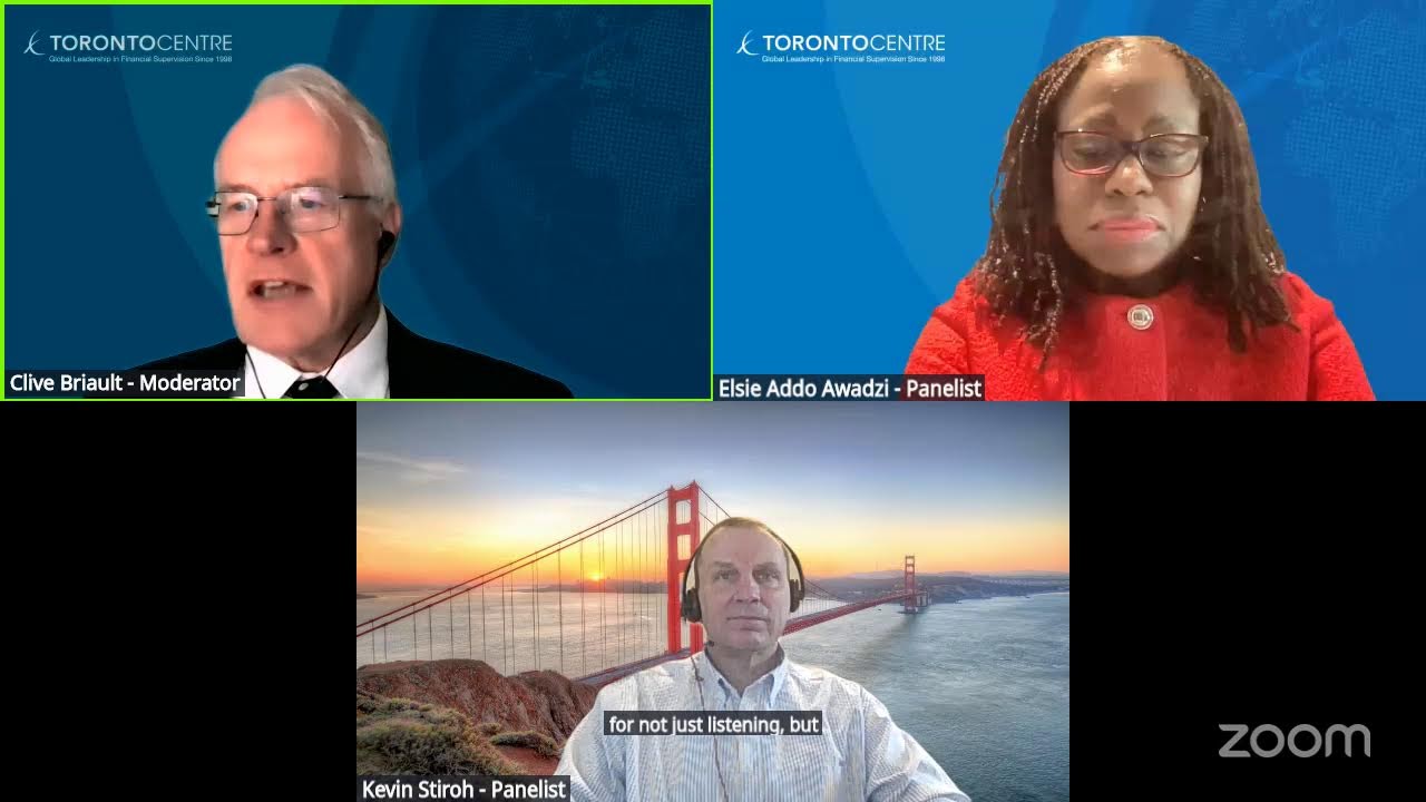 Virtual Executive Panel: Supervisory Independence: Principles, Practice, and Policy Trade-offs