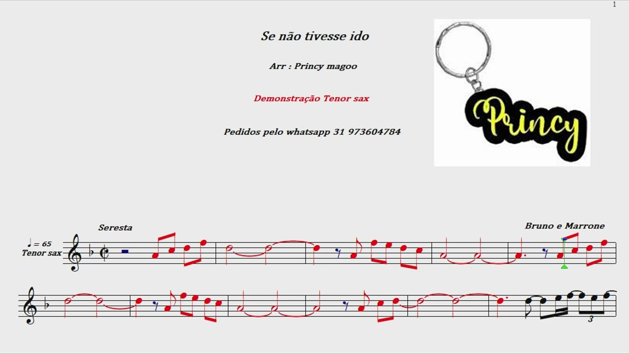 🔴Se não tivesse ido🎷 Seresta 🎷 Demonstração Tenor sax🎷 Princy