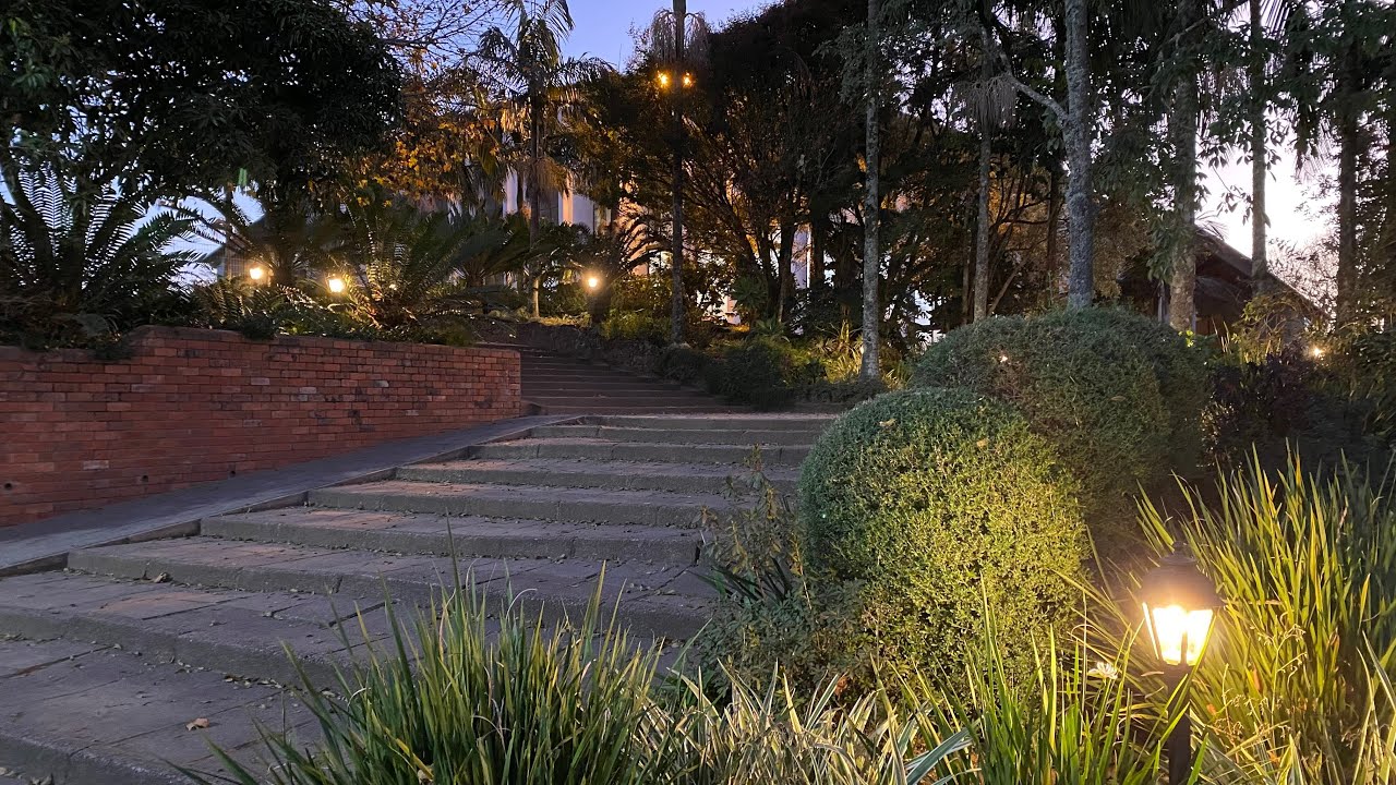 Devotion - 1 January 2026
