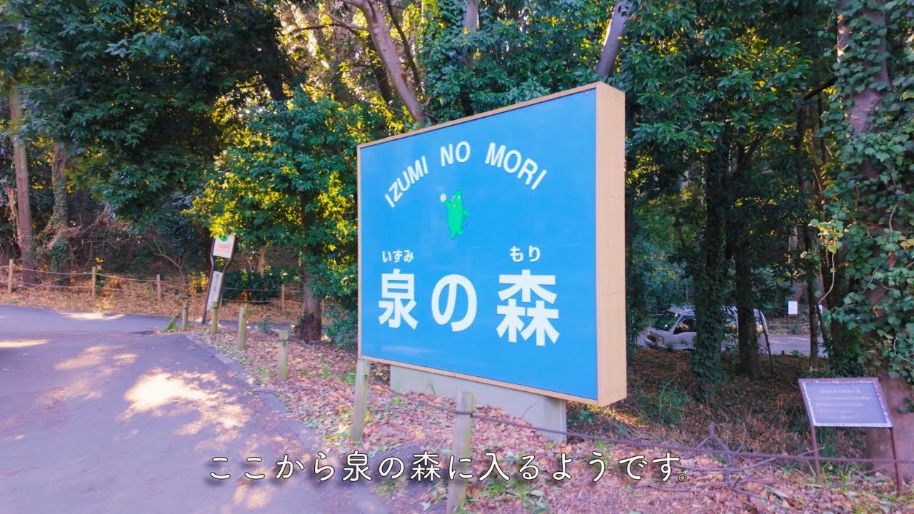 【大和駅→鶴間駅】あとみ坂から、ふれあいの森・泉の森、鶴間駅へ散歩。坂道を行く。大和市。