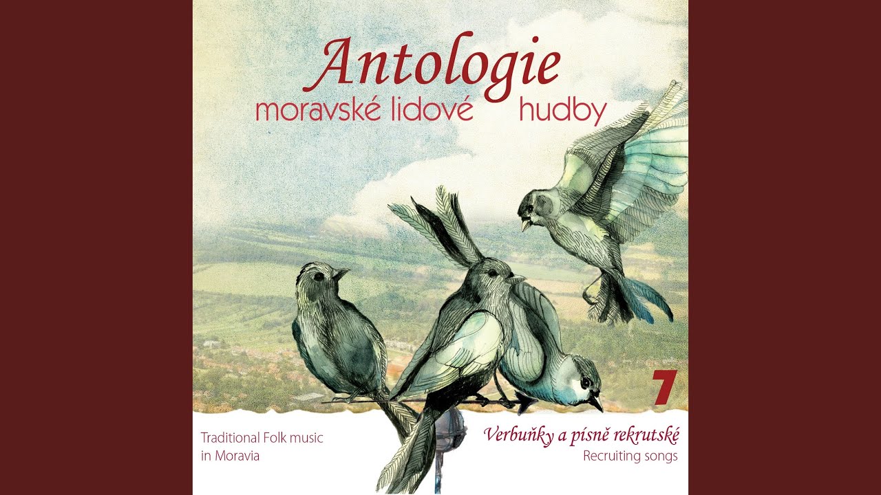 Kebyste to, mamko moja, vedeli