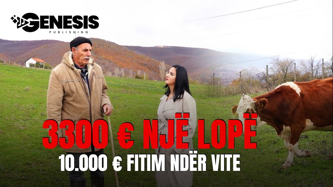 3300 € një lopë – 10.000 € fitim ndër vite | HISTORI SUKSESI