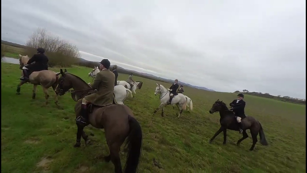 Jumping over fences with the Ledbury Hunt on Arthur the Super Cob. Galloping over the fields.