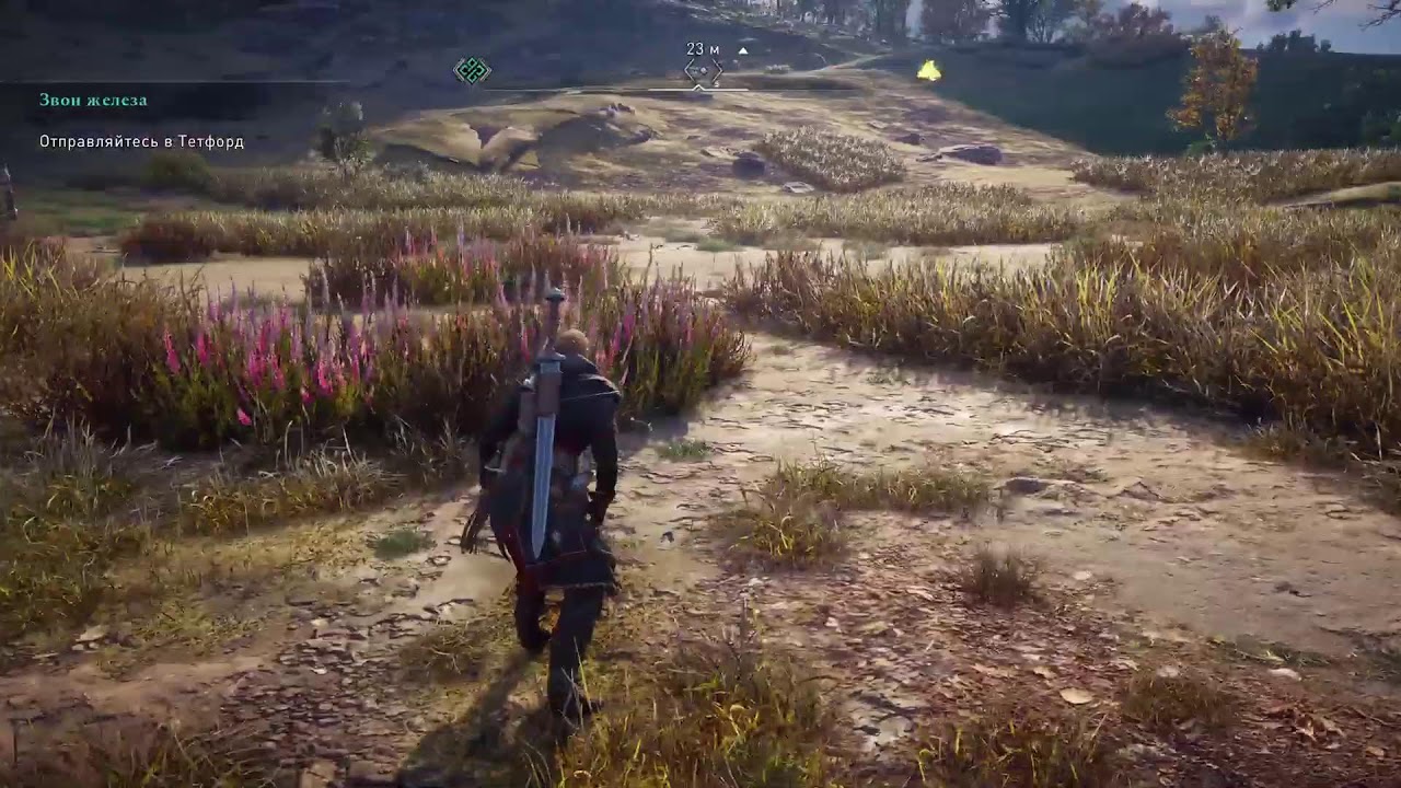 Красота и боль в ASSASSIN