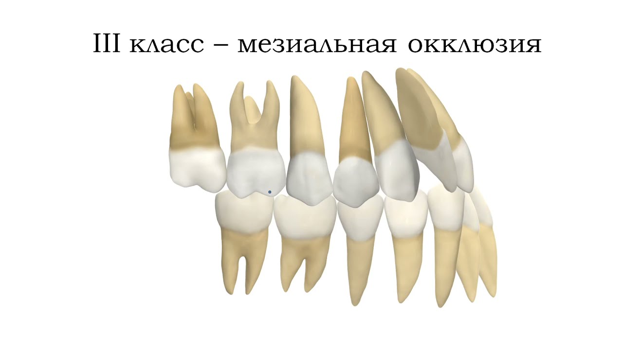 Классификация по Энглю