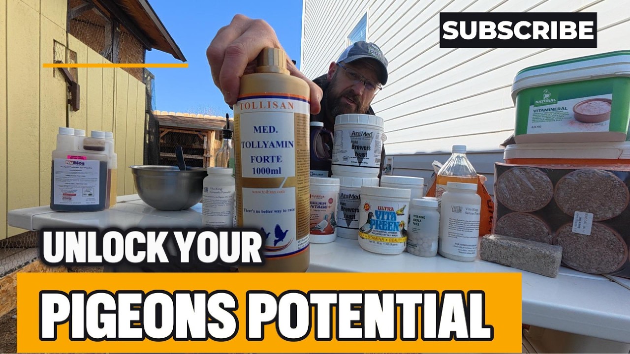 BREEDING SUPPLEMENTS 2026
