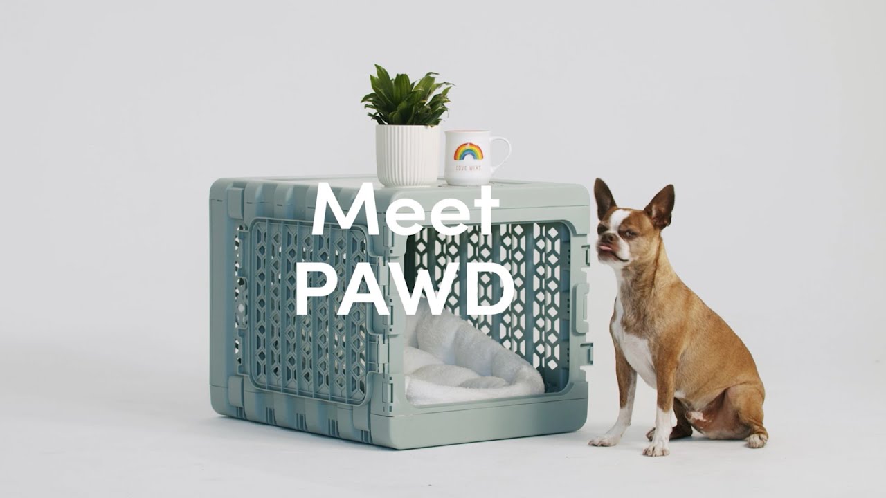KindTail Medium Collapsible Pet Crate