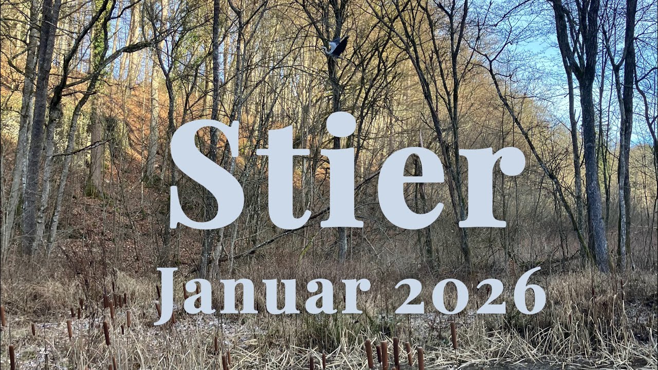 Stier ♉️ Januar 26 • Dein sonniges Gemüt macht dich unwiderstehlich 