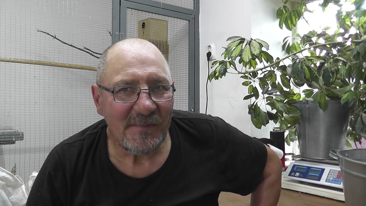 То зерно по 100 руб за кг