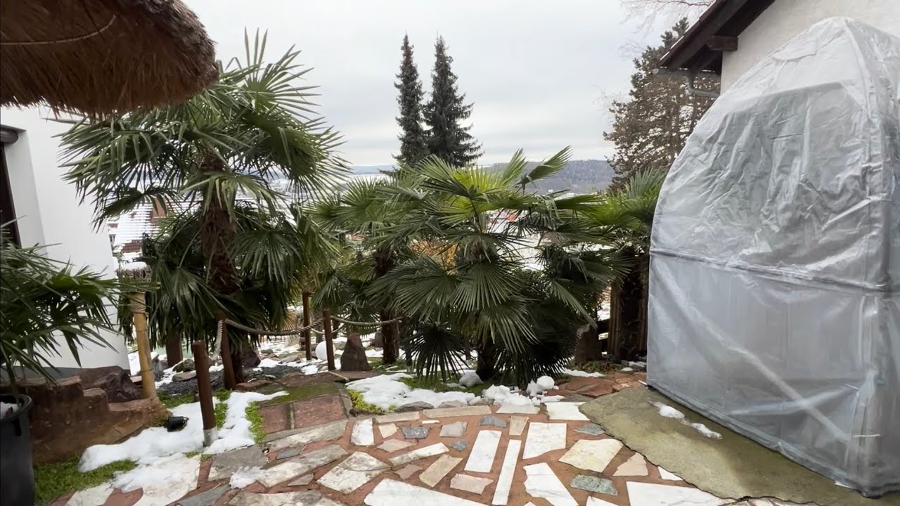 Unsere verschiedenen Winterschutzsysteme im Winter 2023/24