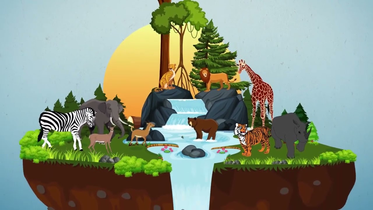 BIODIVERSIDADE AMEA&Ccedil;ADA - O que &eacute; biodiversidade