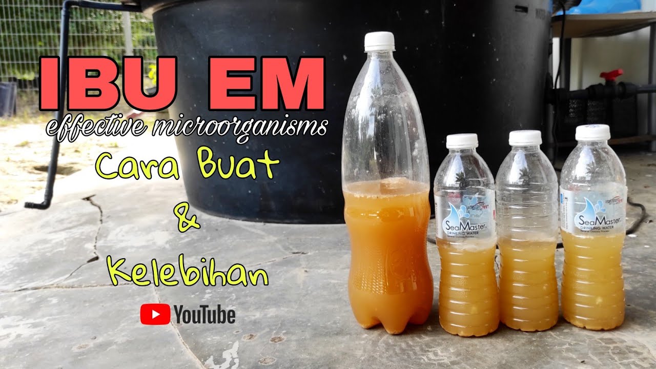 (EP17) - Cara Buat EM/Ibu EM...Senang je..!!