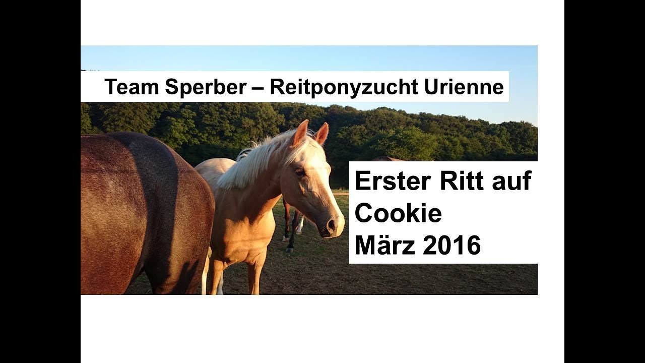 Erster Ritt auf Cookie