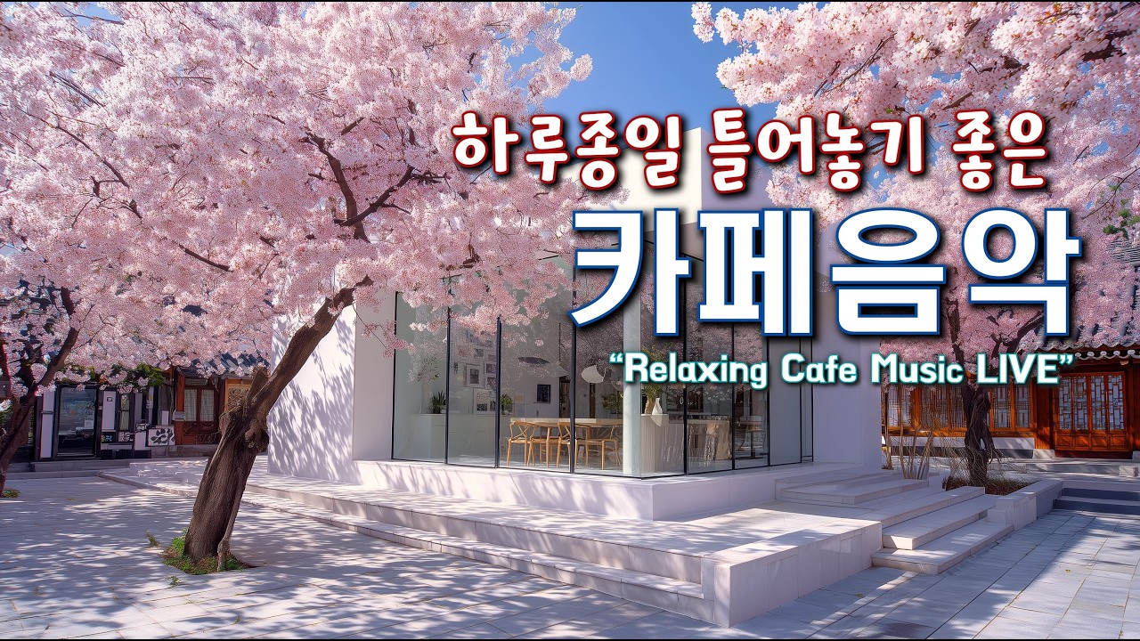 카페에서 듣기 좋은 음악과 하루를 함께 하세요 ☕(중간광고없음) 일할때 듣기 좋은 음악 🎧아침에 듣기 좋은 음악  Relaxing Cafe Music Playlist 260214