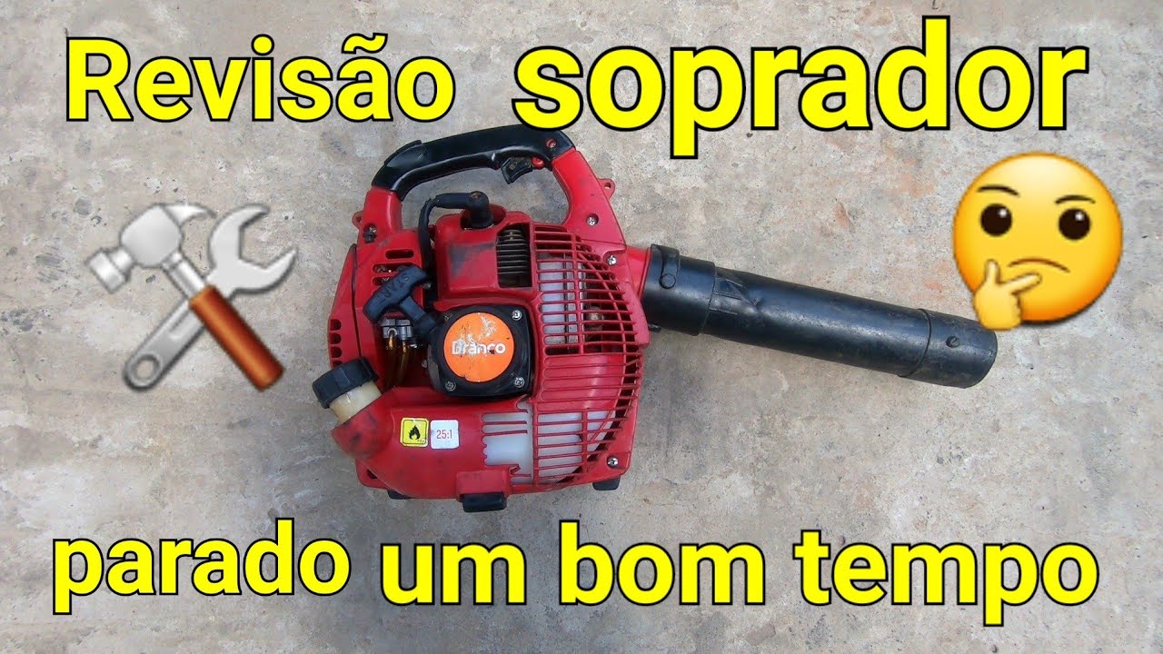 Soprador de folhas muitos dia parado revisão @lcservice01