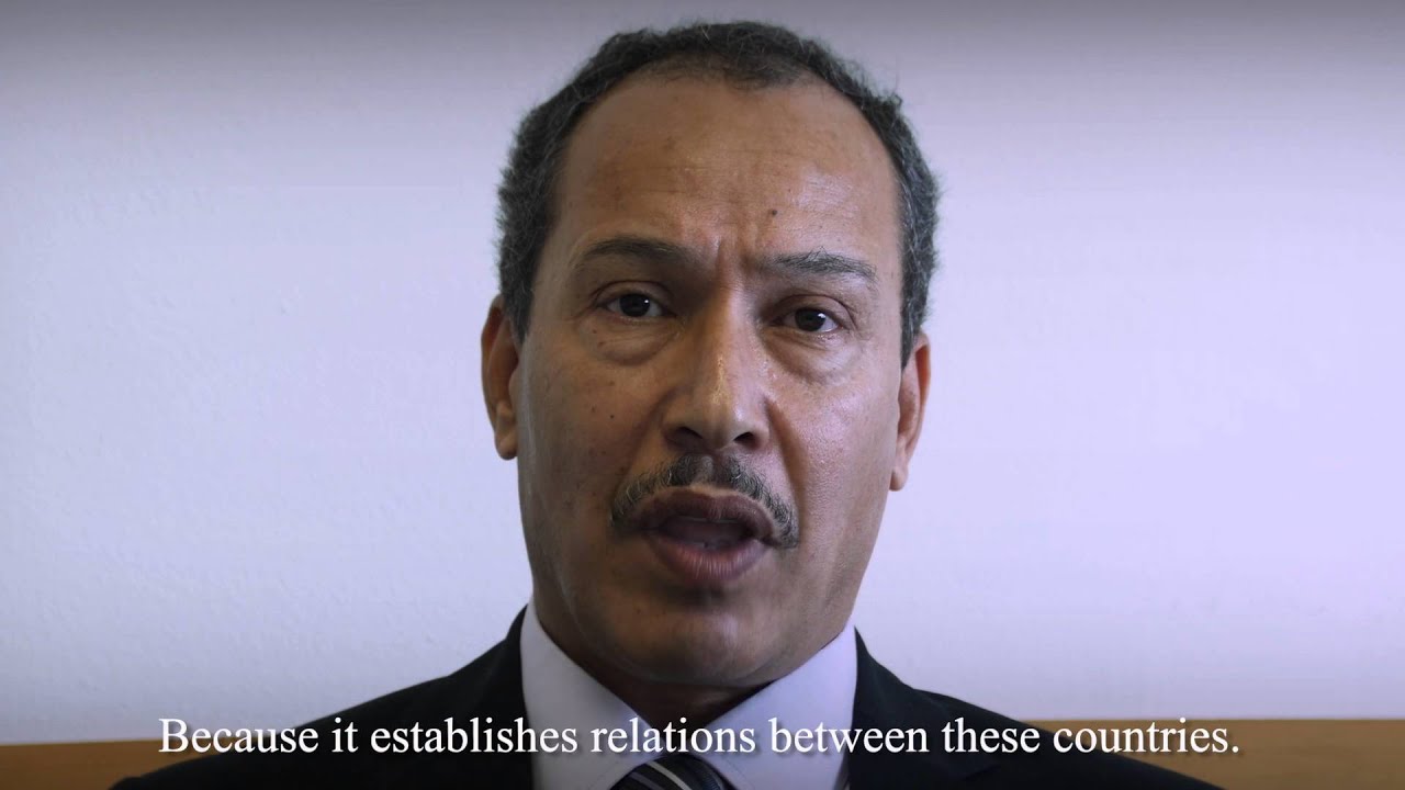 Introducing South-South and Triangular Cooperation