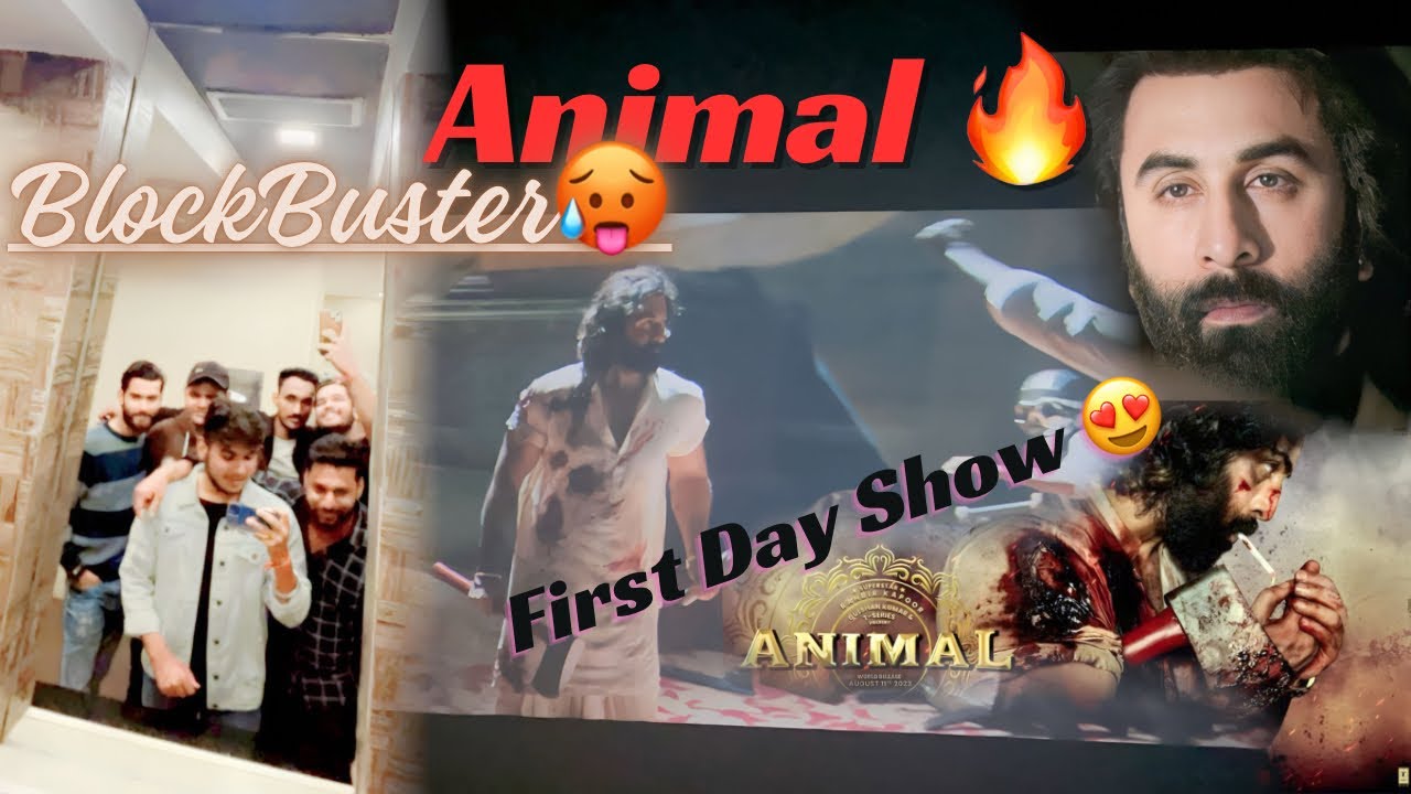 Animal - New Blockbuster Movie 🍿 | Ranbir Kapoor , Anil Kapoor , Rashmika Mandanna , Boby Deol