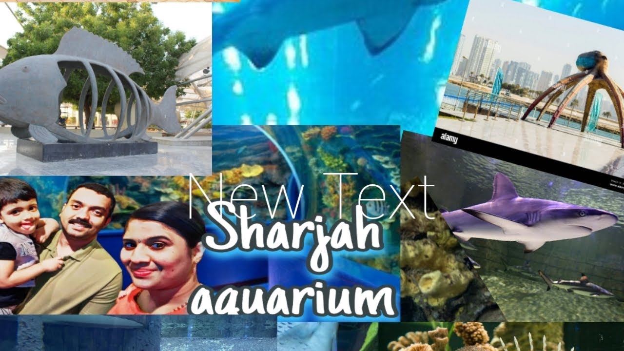 Sharjah Aquarium-wonders of under water