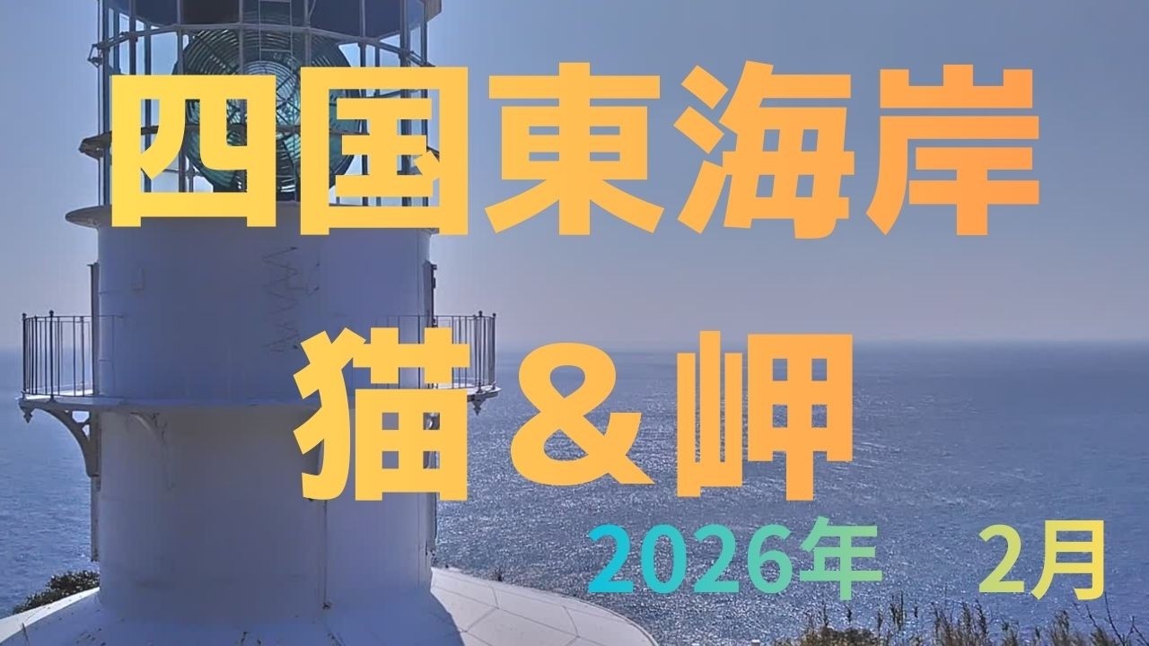 四国東海岸　猫＆岬