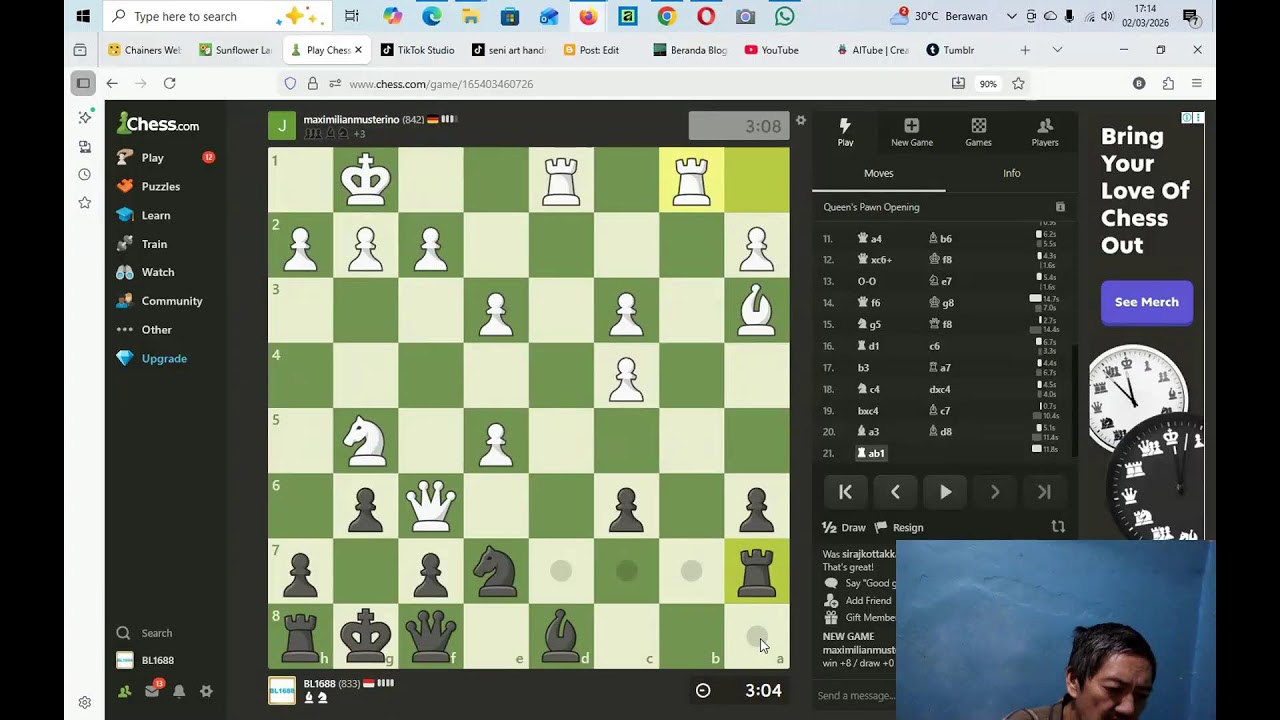 playing chess. game sunflower