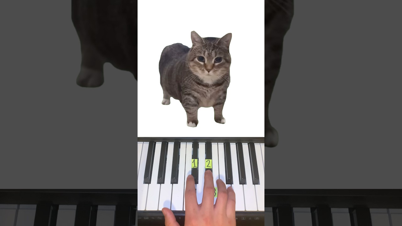 OIIA Cat Song - Piano Tutorial #shorts
