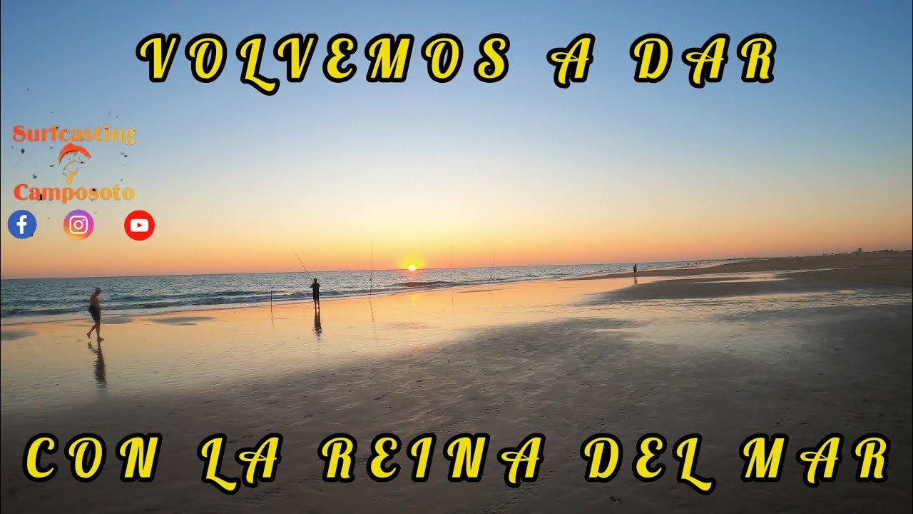 ‼️ SURFCASTING VOLVIMOS A DAR CON LA DORADAS ‼️‼️💥💥