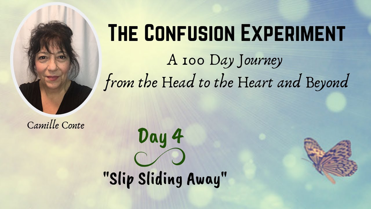 Day 4: The Confusion Experiment - 