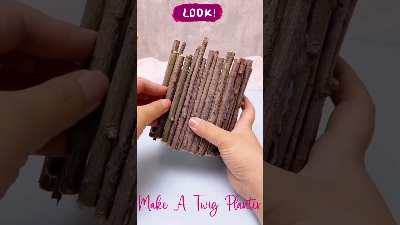 Create a Stunning DIY Twig Planter in Just 3 Steps 