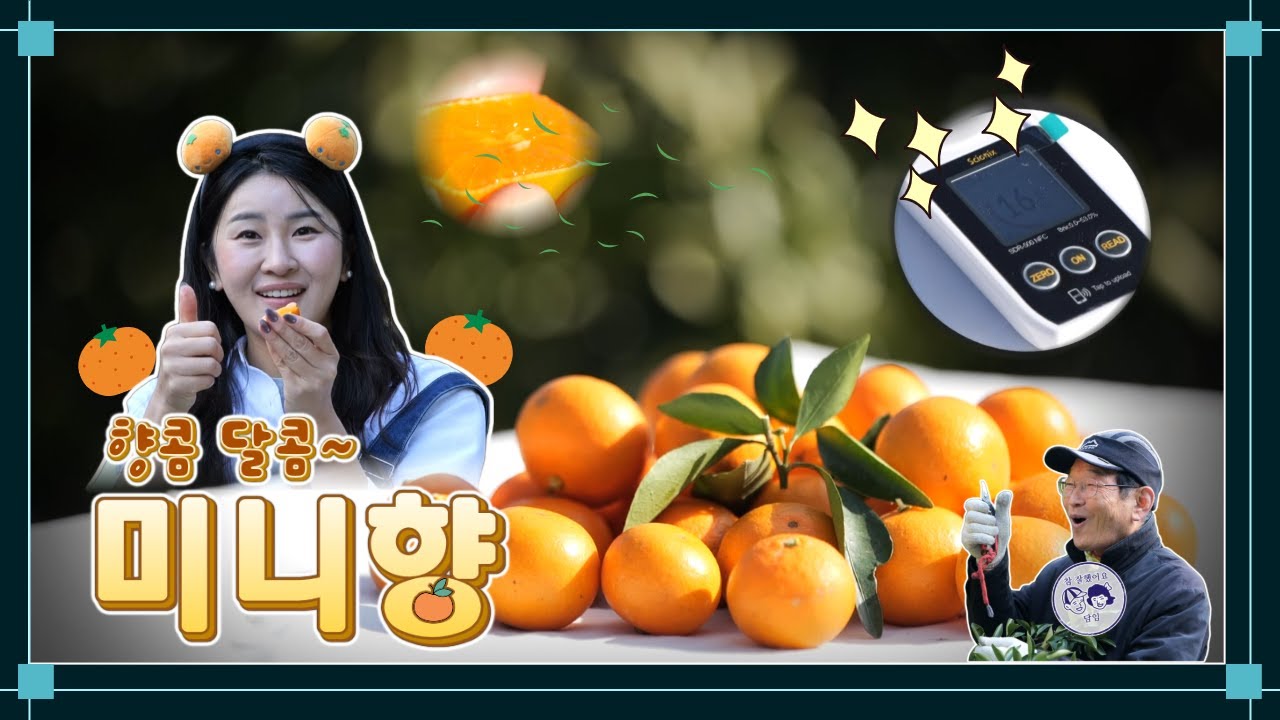 🌟향콤달콤 미니향 🍊